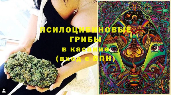 тгк Алексин
