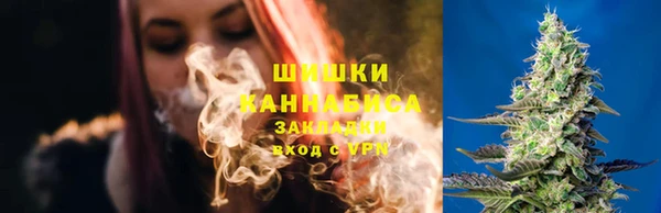 СК Лиски