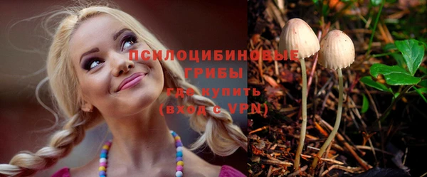 МДПВ Аркадак