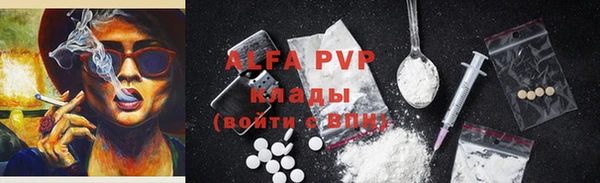 прущие грибы Арсеньев