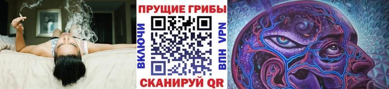 Псилоцибиновые грибы мицелий  купить наркотик  Петушки 